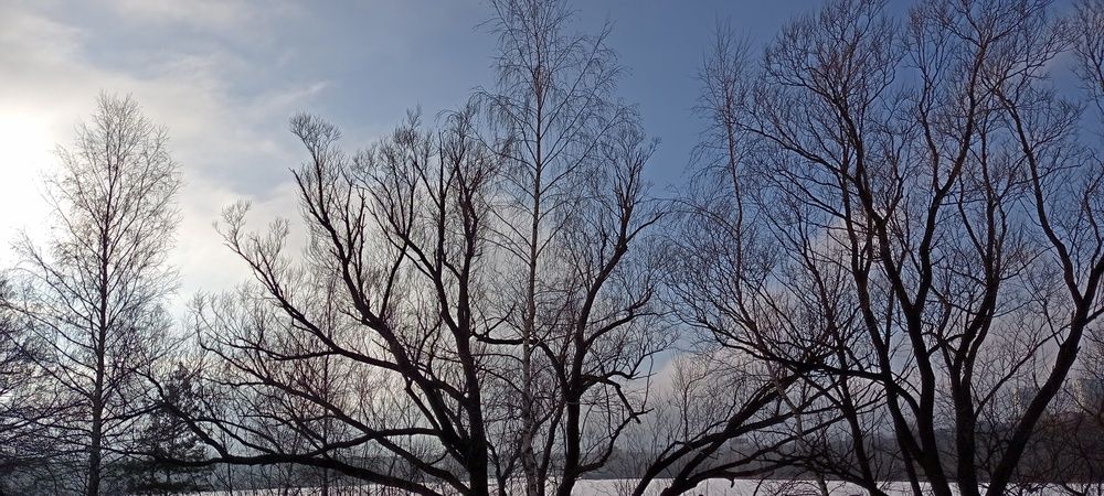 Photograph by Таши делек