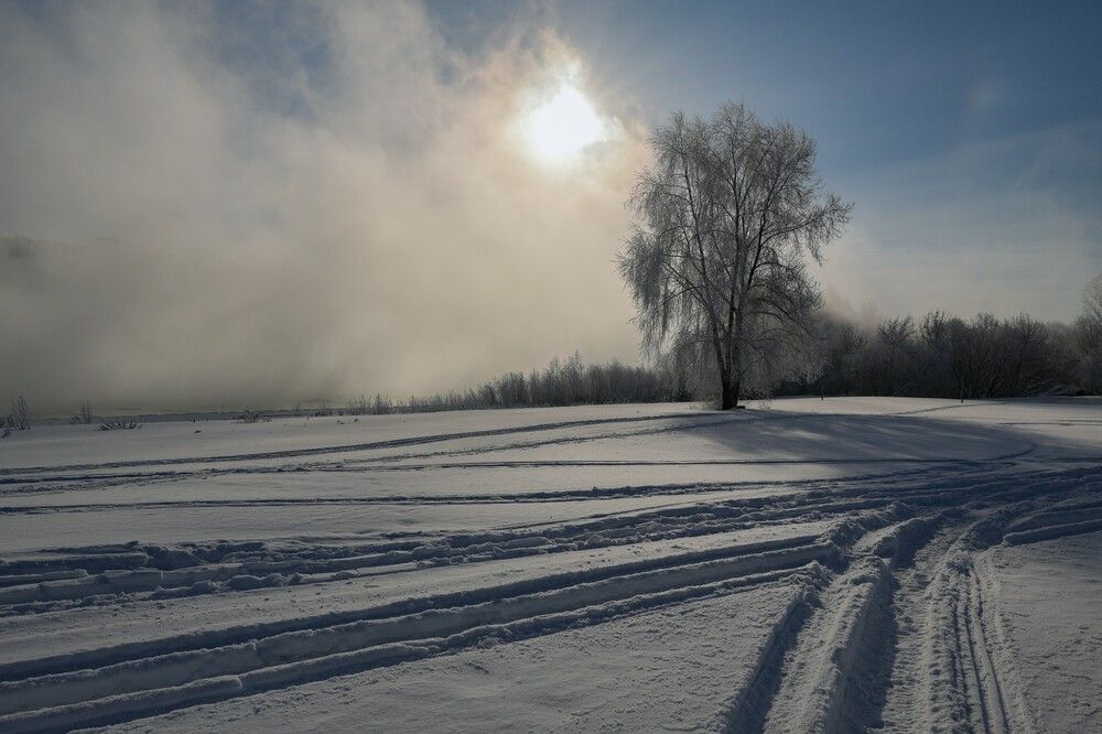 На берегу реки