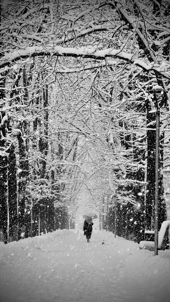 Photograph by Ольга Бибекина