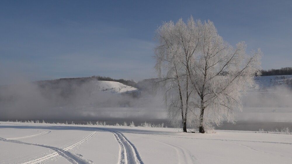 На берегу Оки