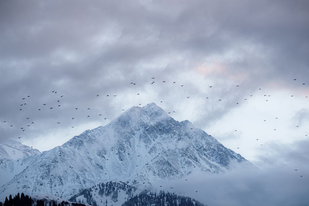 Photograph by Алексей Баженов