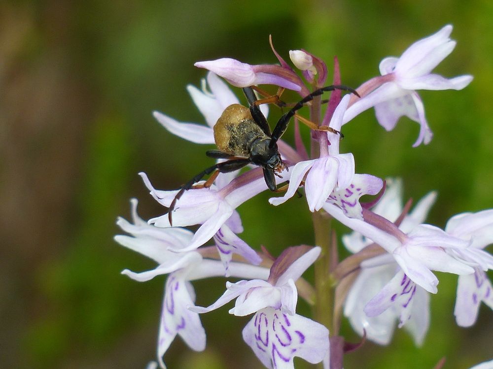 Photograph by Георгий Салюков