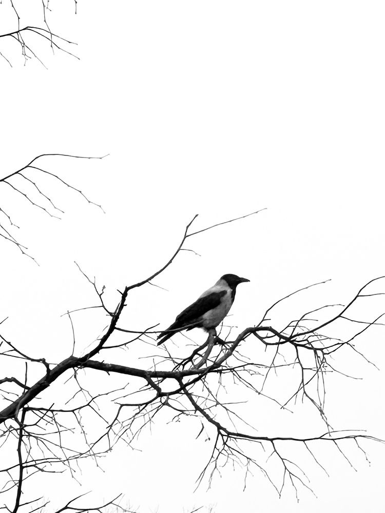 Photograph by Людмила