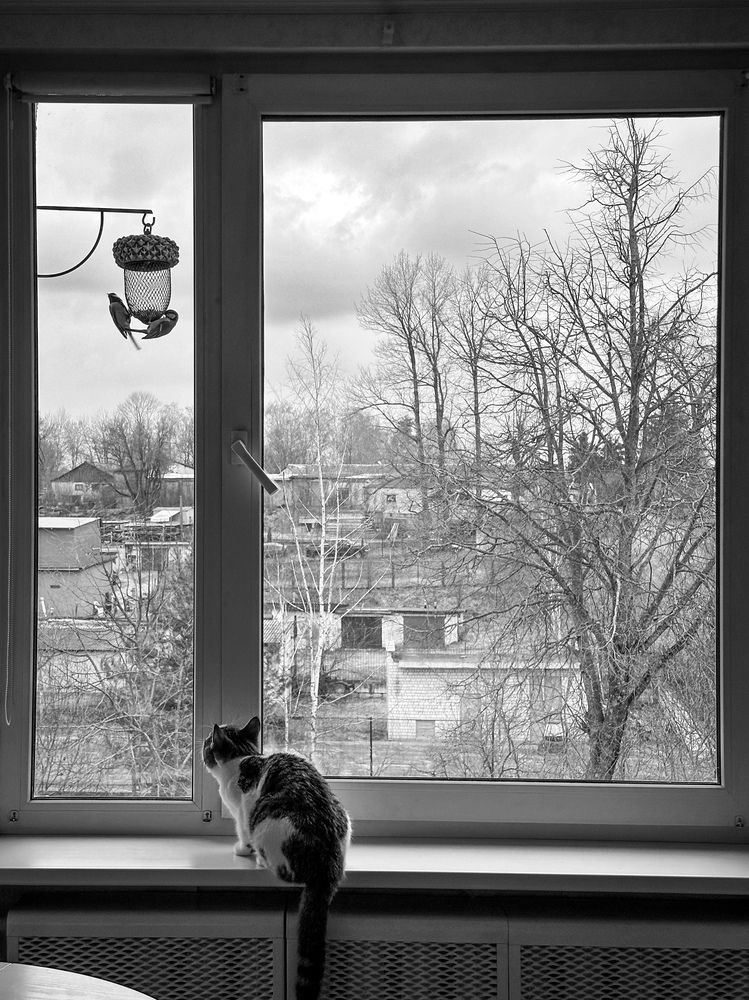 Photograph by Людмила