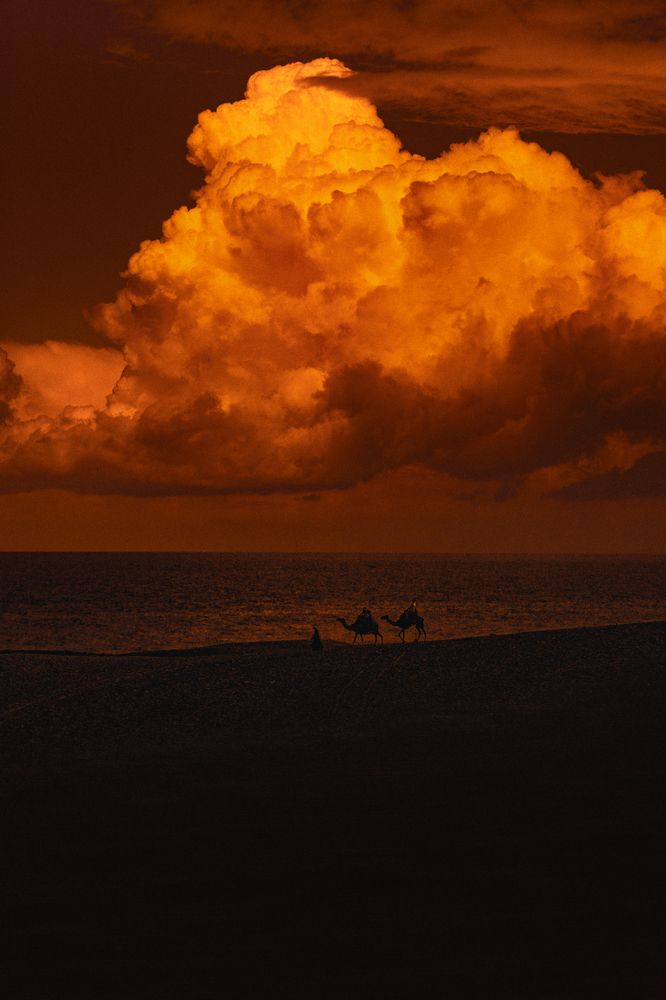 Photograph by Abdullah Salah