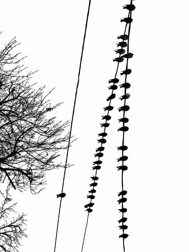 Photograph by Андрей Васильев