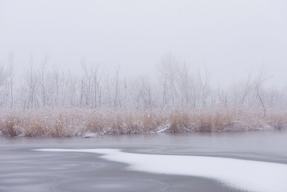 Photograph by Наталия Уракина
