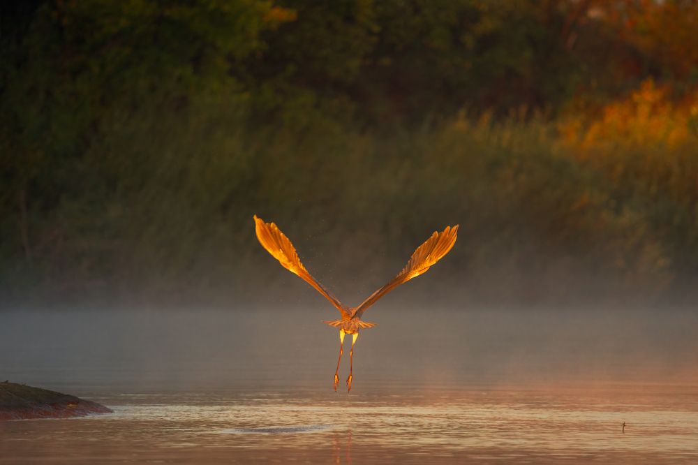 Photograph by Михаил Харитонычев