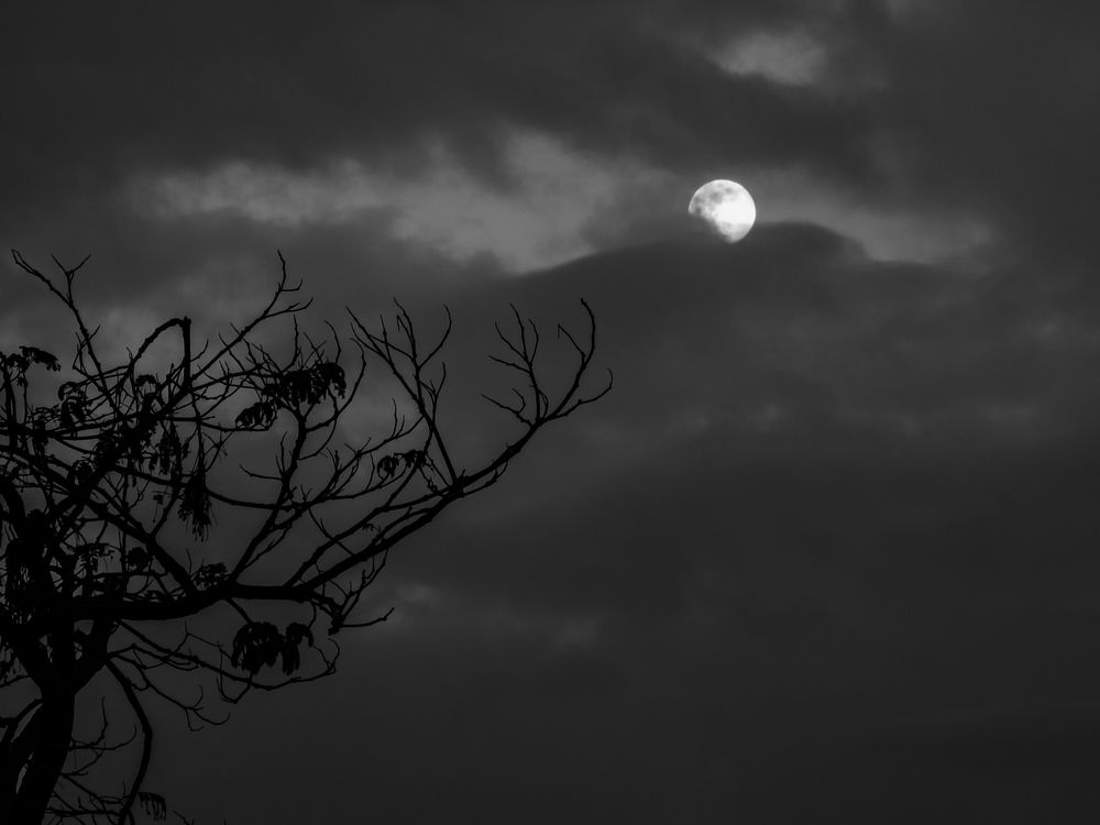 Фотография автора Ahmed Diab