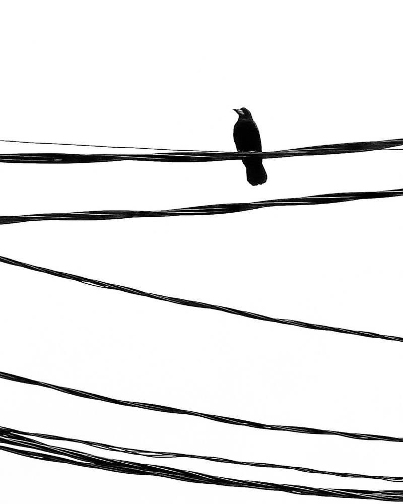 Photograph by Андрей Васильев