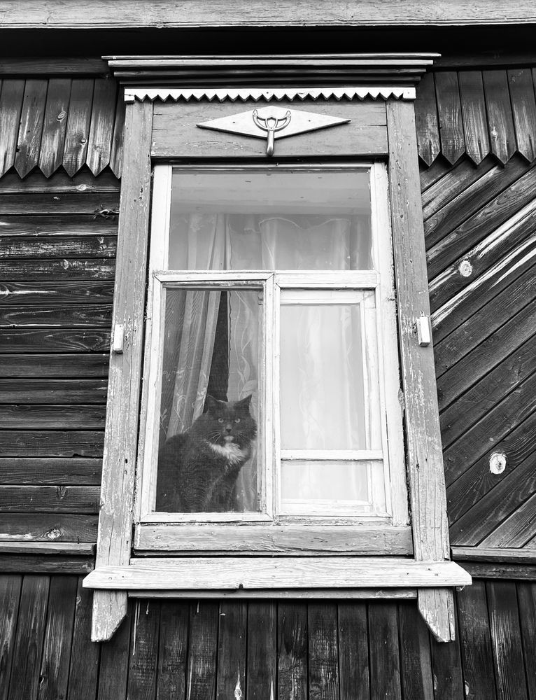 Photograph by Нелли Гоева