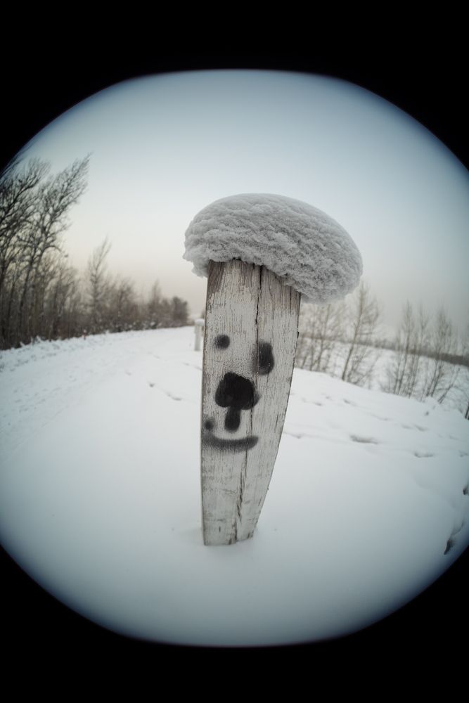 Photograph by Алексей Арестов