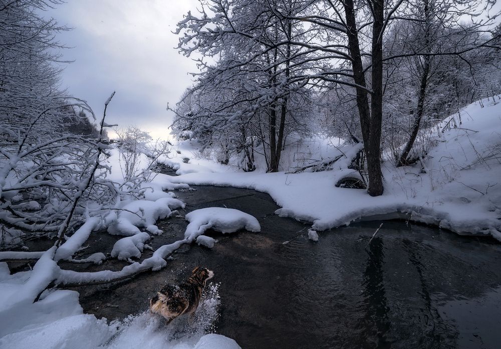 Photograph by Анатолий Веремеев