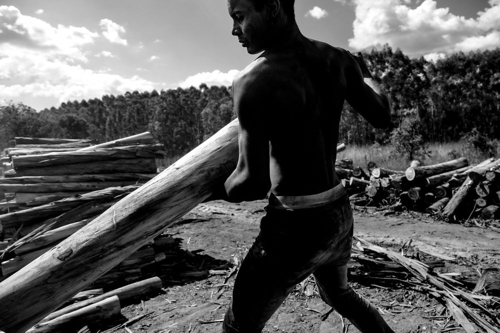 Photograph by FLAVIO SOUZA CRUZ