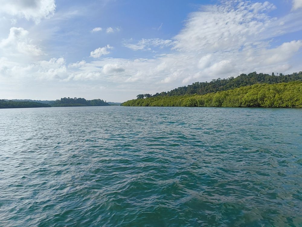 Photograph by S Shridhar