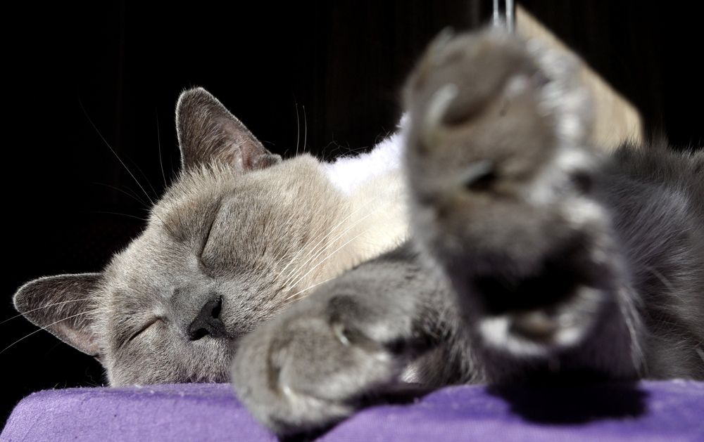 Photograph by Chrissanthi Papadopoulou