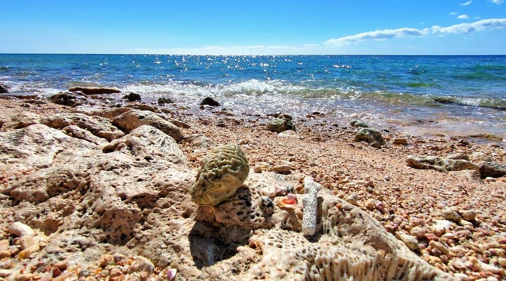 Photograph by Василь Гареев