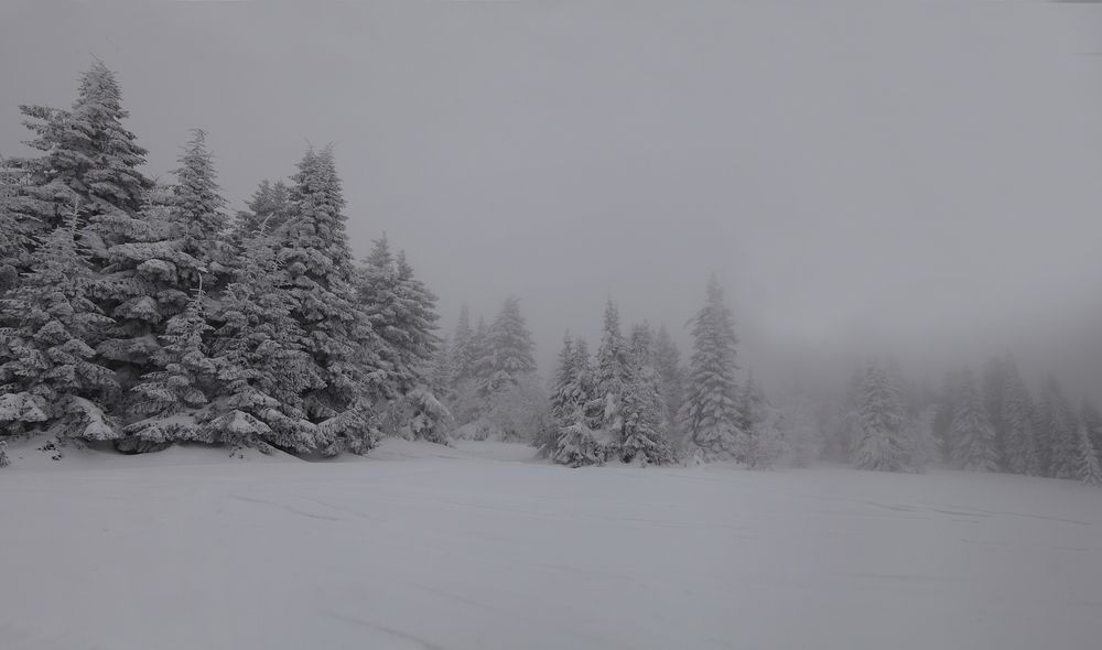 Photograph by Maksim Malkin