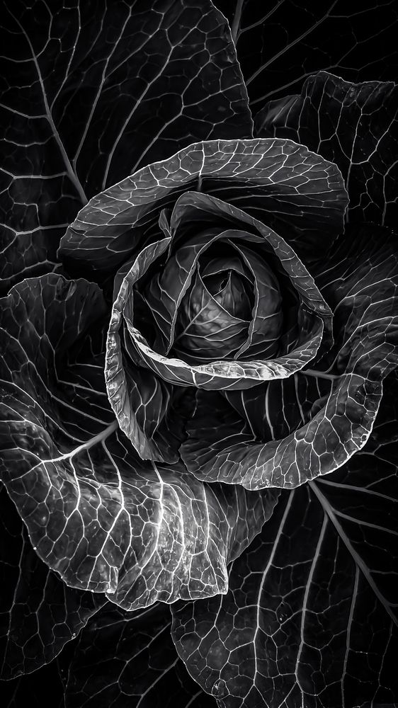 Photograph by Роман Алейников