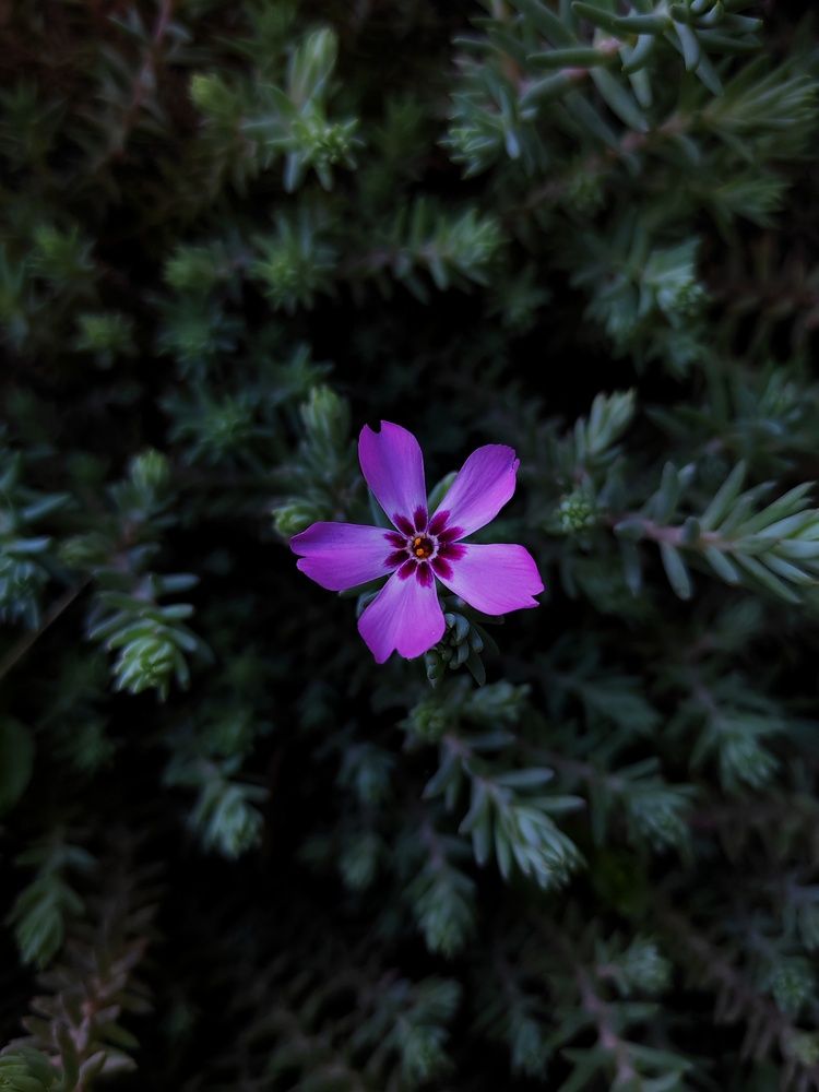 Photograph by Екатерина Жи
