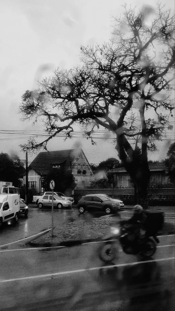 Photograph by Evelyn Emelly