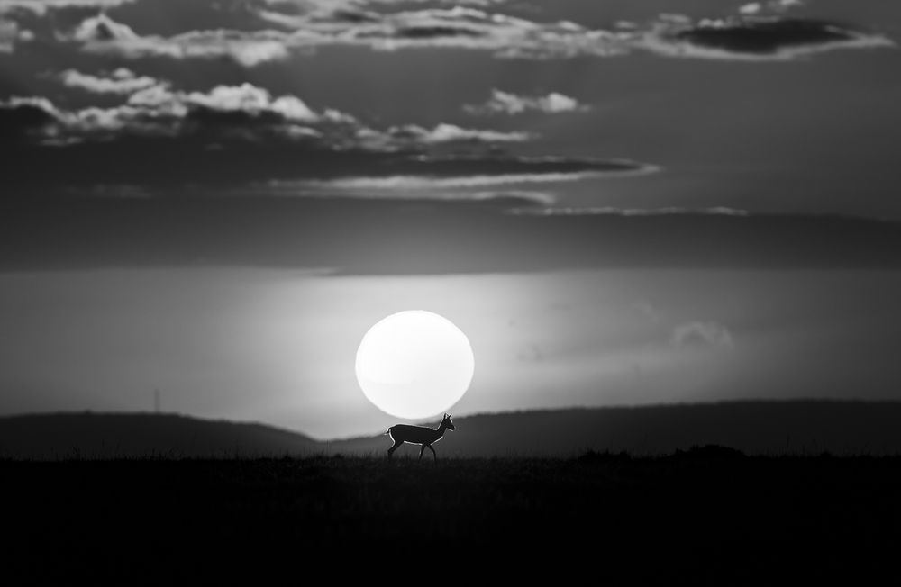 Photograph by Pothanis Sudhir