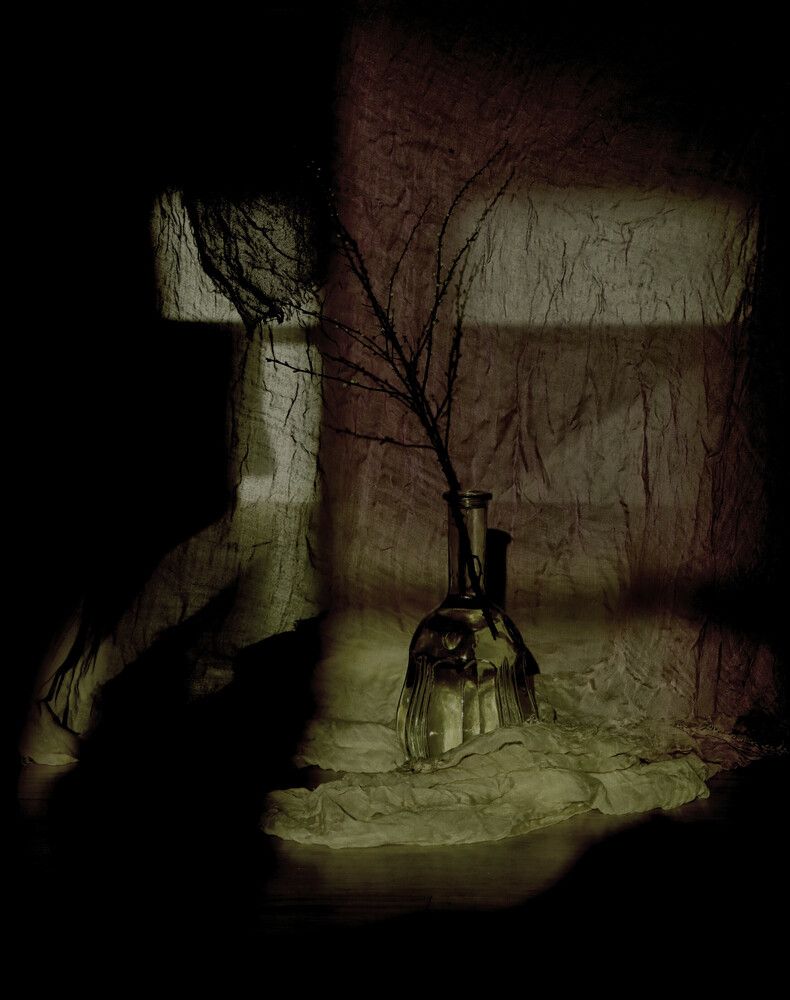 Photograph by Туева Наталья