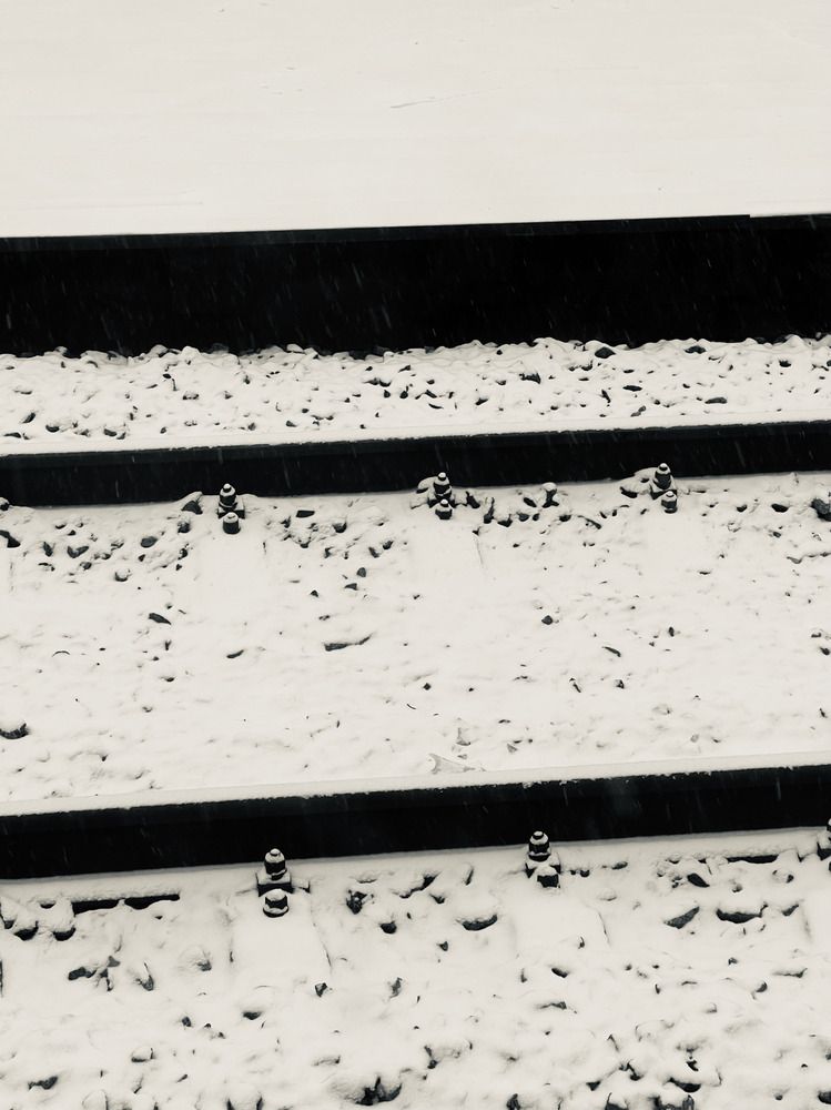 Photograph by Matson Tomas