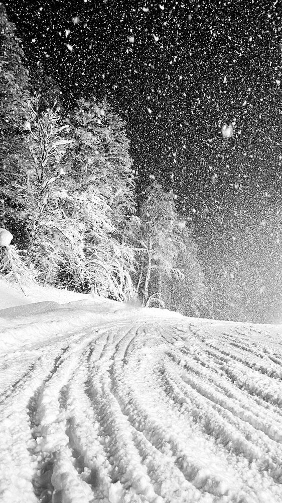 Photograph by Zakhar Lopatin