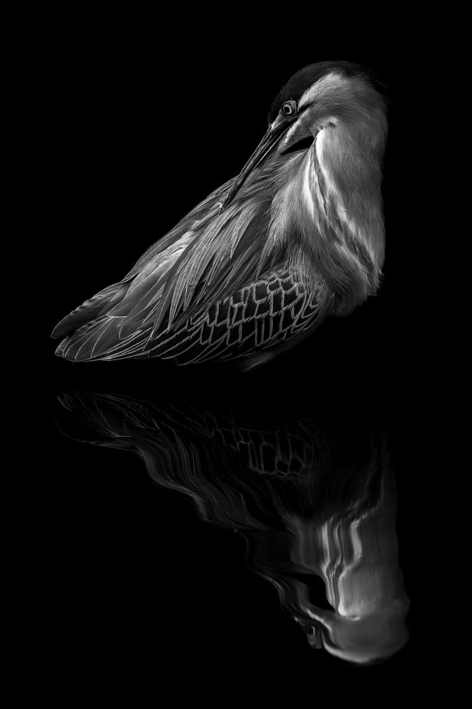 Photograph by Sandra De Bedout