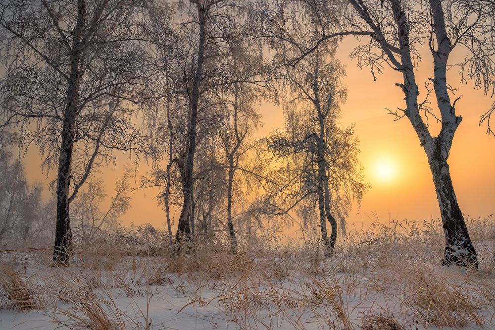 Photograph by Евгений Гецев