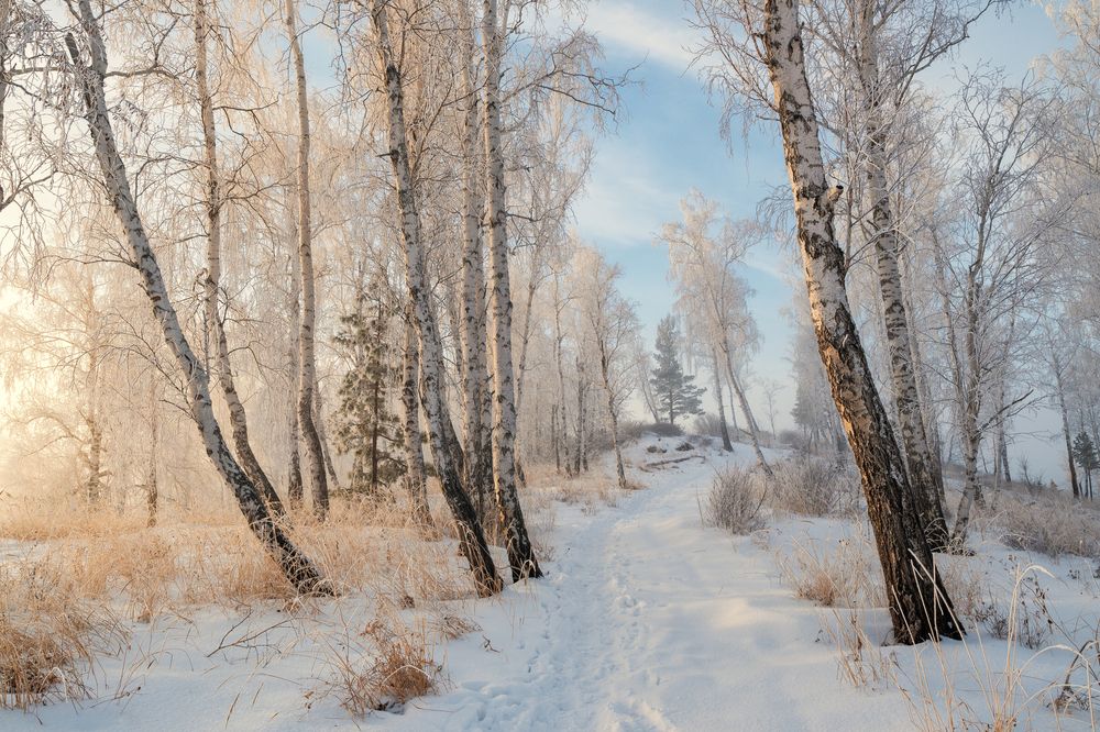 Photograph by Евгений Гецев