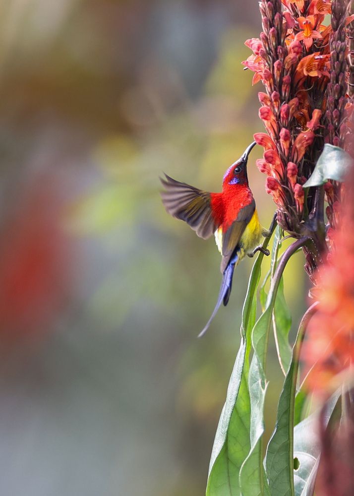 Photograph by Arnab Sarkar
