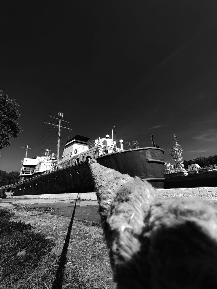 Фотография автора Регина Крикунова