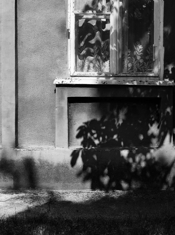 Фотография автора Регина Крикунова