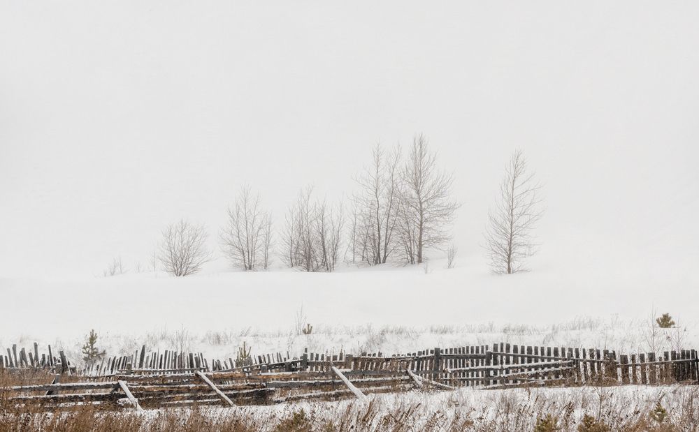 Photograph by Евгений Гецев