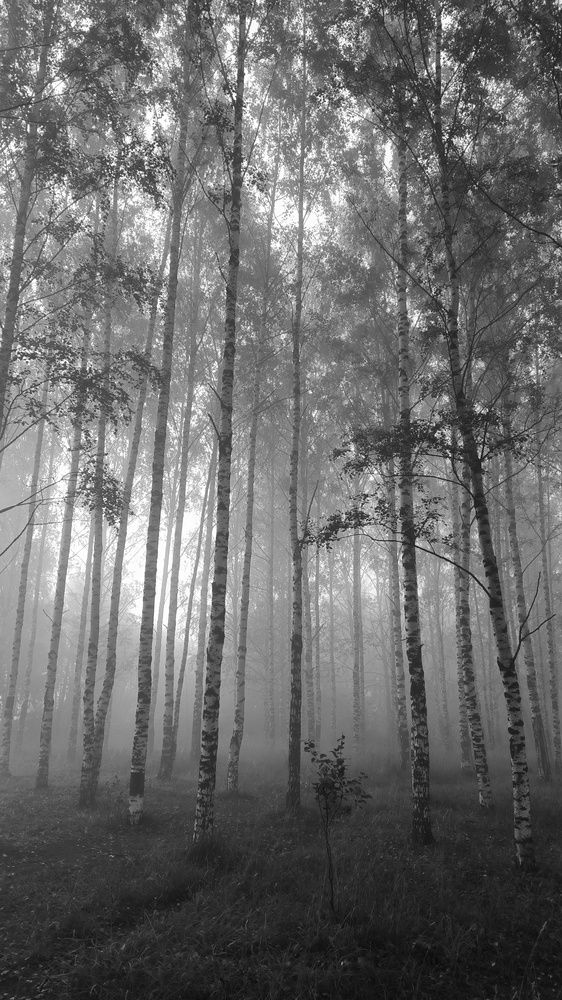 Photograph by ANDREY PERESHEIN