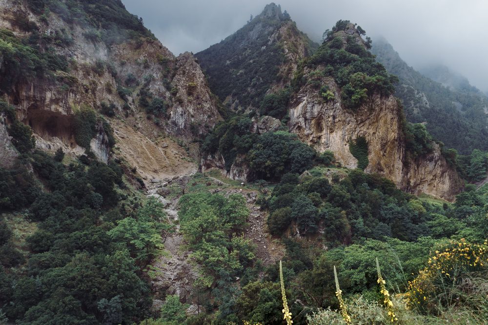 Photograph by JEVGENIJS TRETJAKOVS