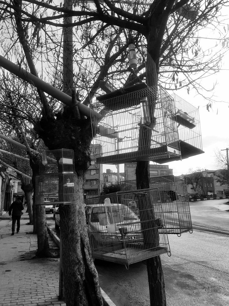 Photograph by Mohammd Rasul