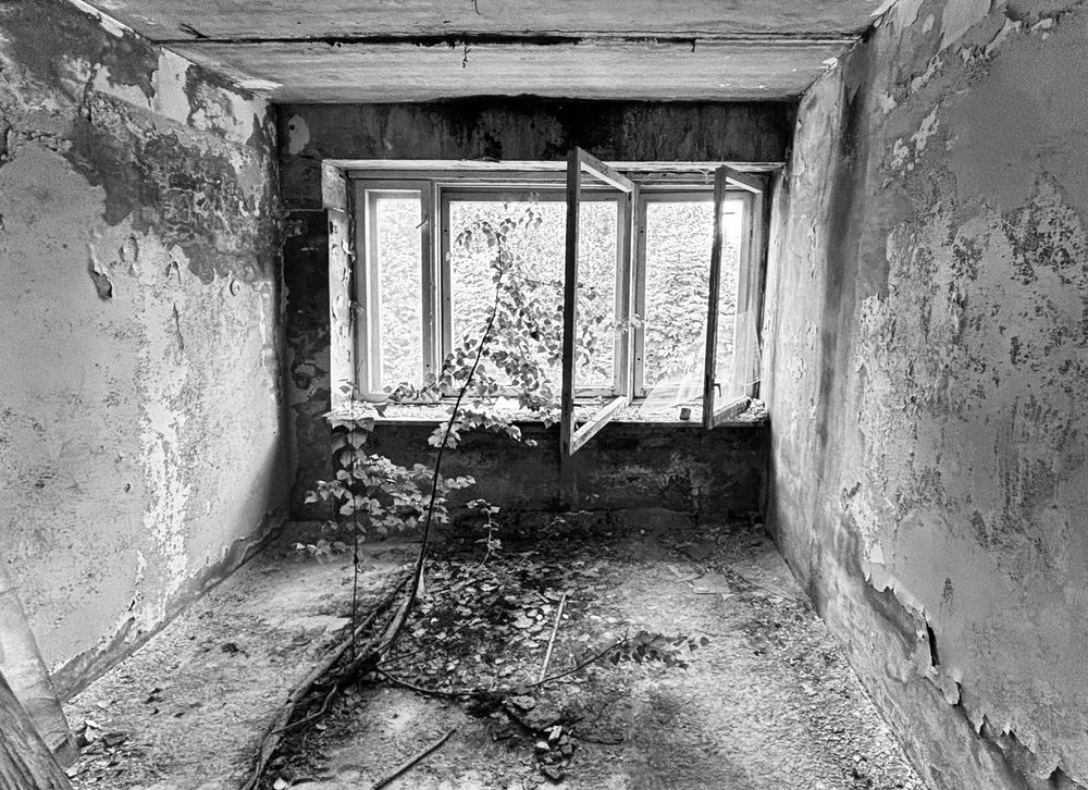 Photograph by Olga Mendosa