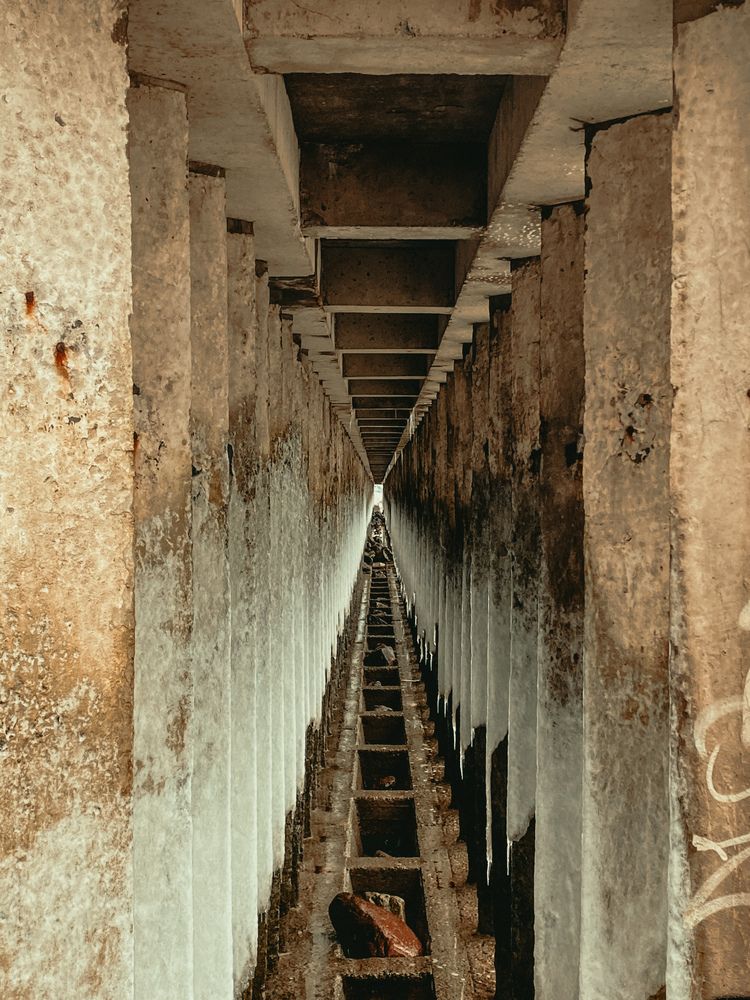 Photograph by Пыльцева Юлия
