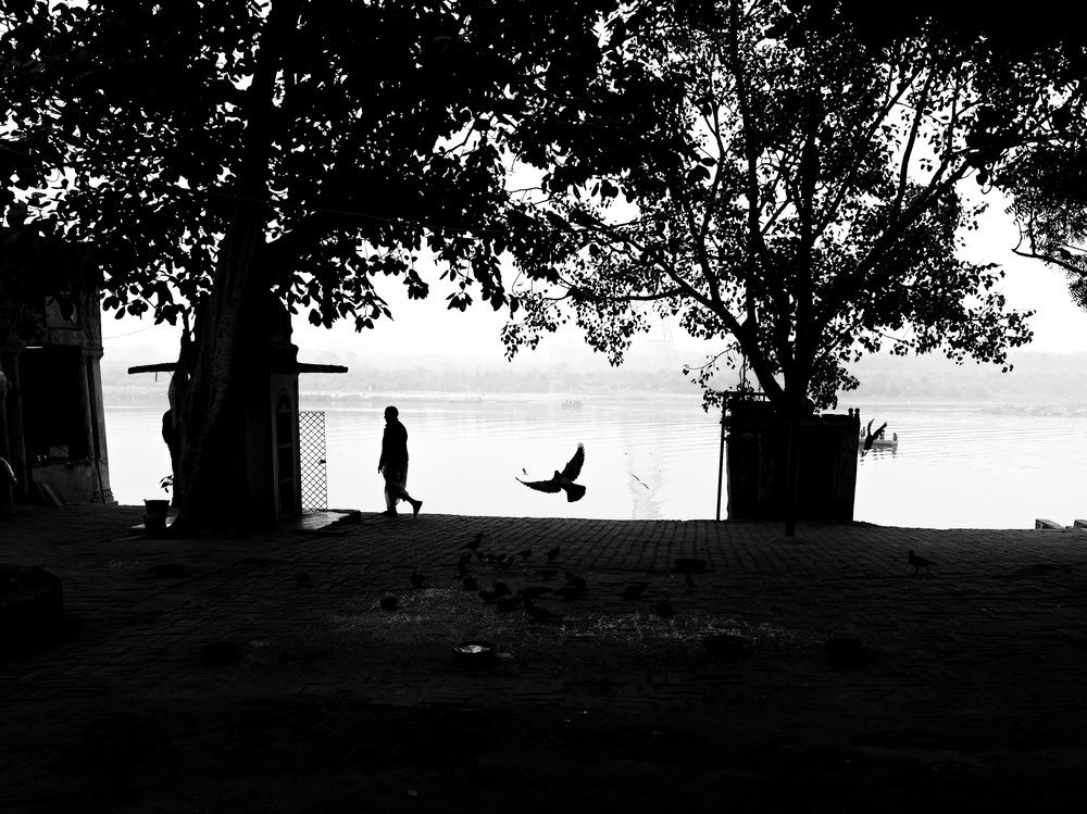 Photograph by HARSHIT MISHRA