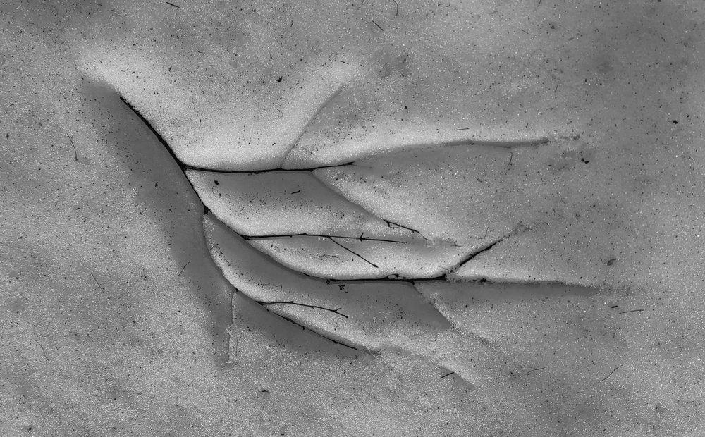 Photograph by ANDREY PERESHEIN