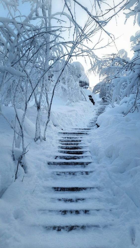 Stairway to winter