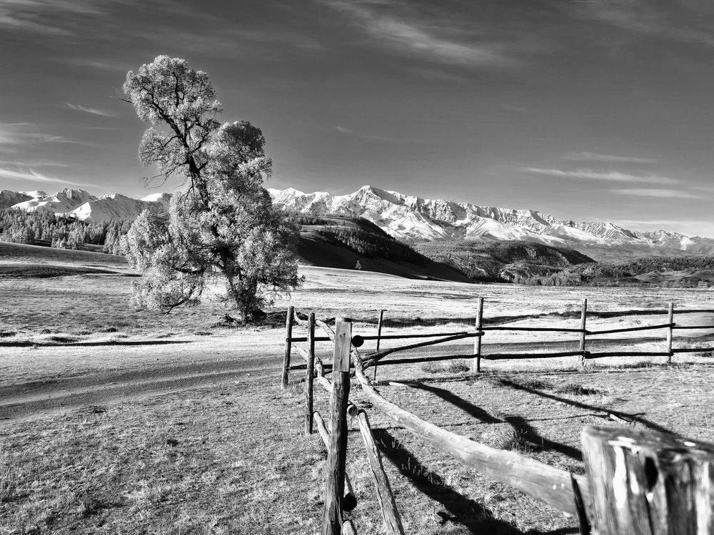 Где-то на Алтае