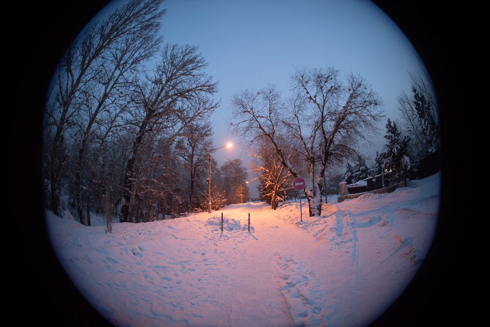 Круглый мир