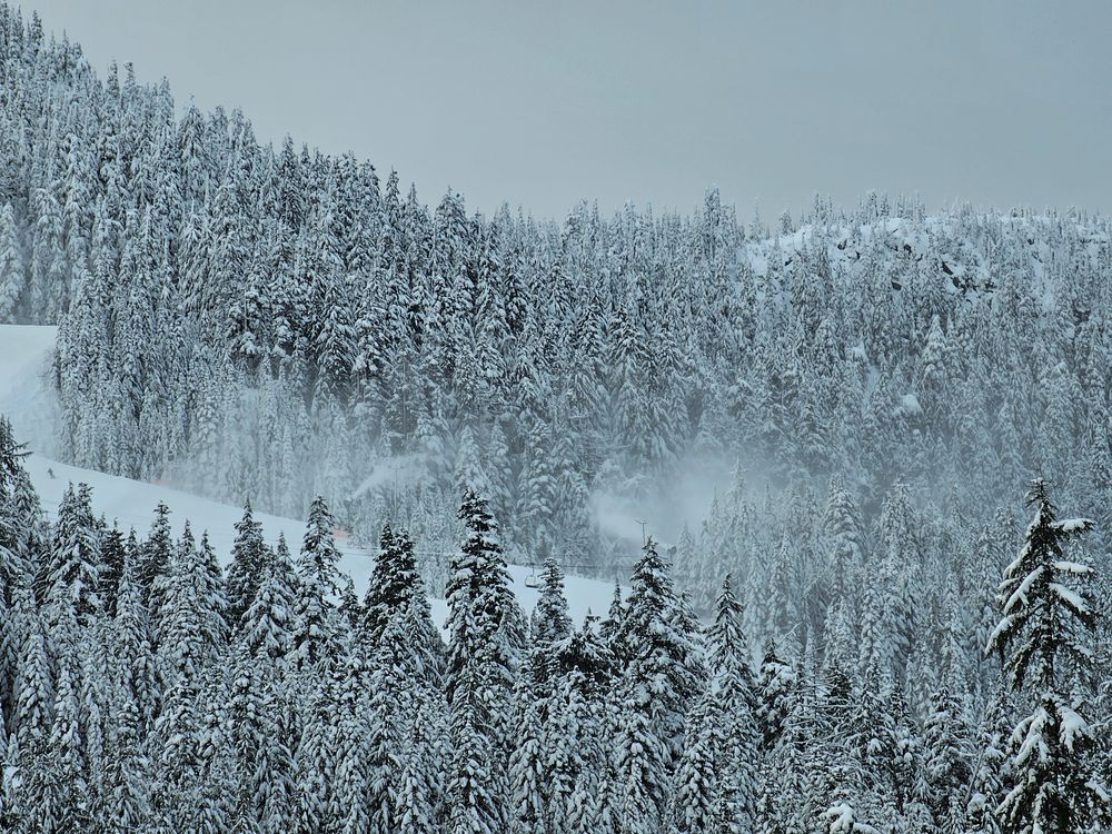 Photograph by Irina Sushkova