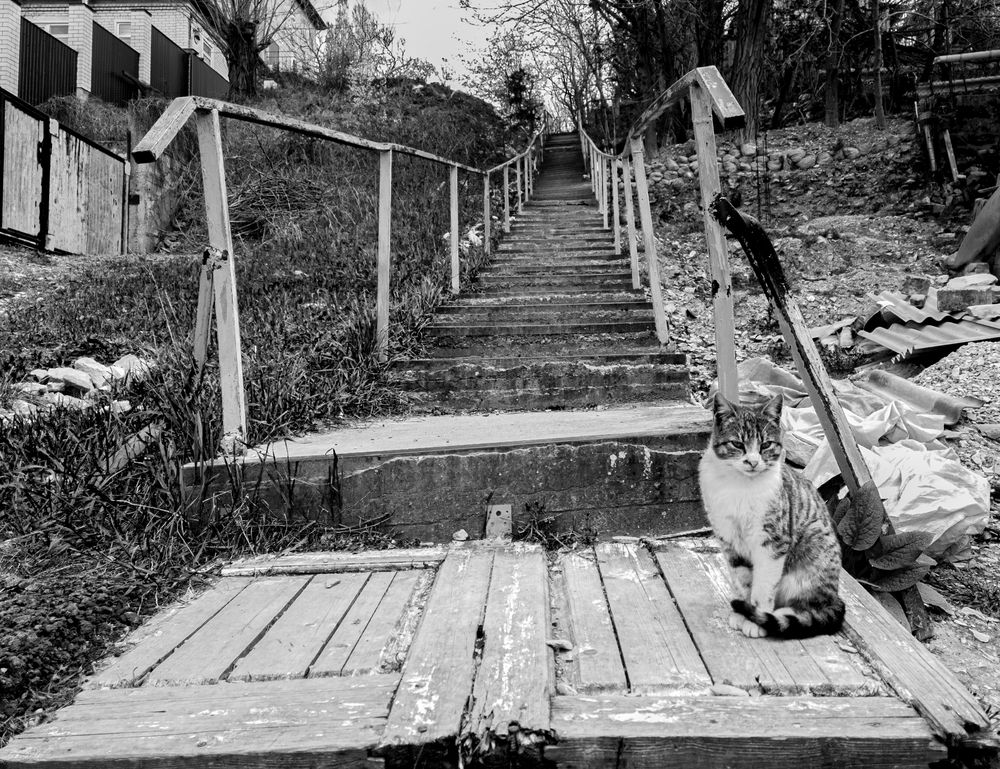 Photograph by Сергей Христинич