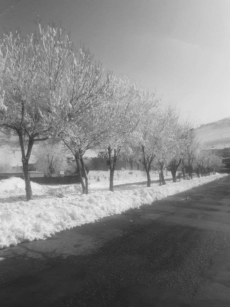 Photograph by Mohammd Rasul