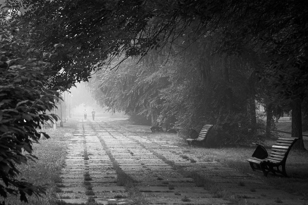 Photograph by Кирилл Богомазов